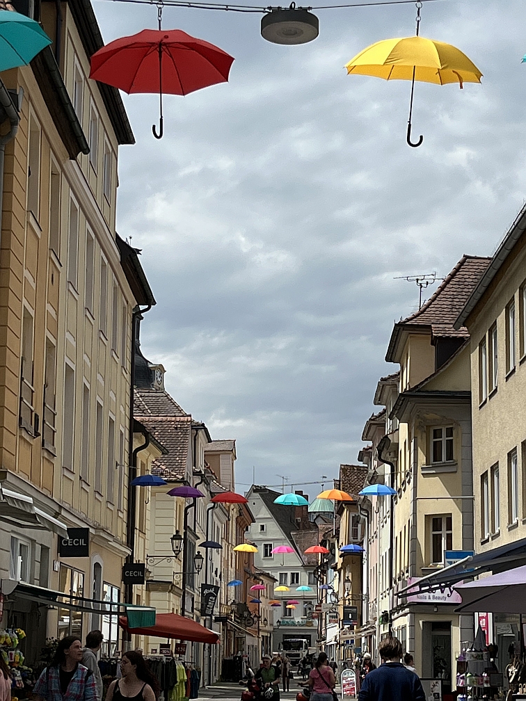 IMG_4263_1_k